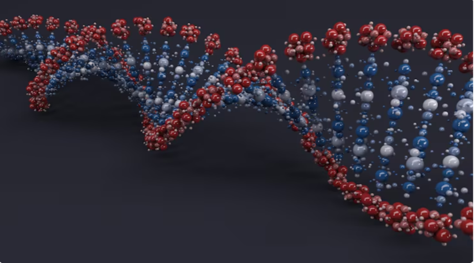 understanding genetic