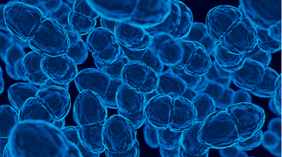 understanding genetic