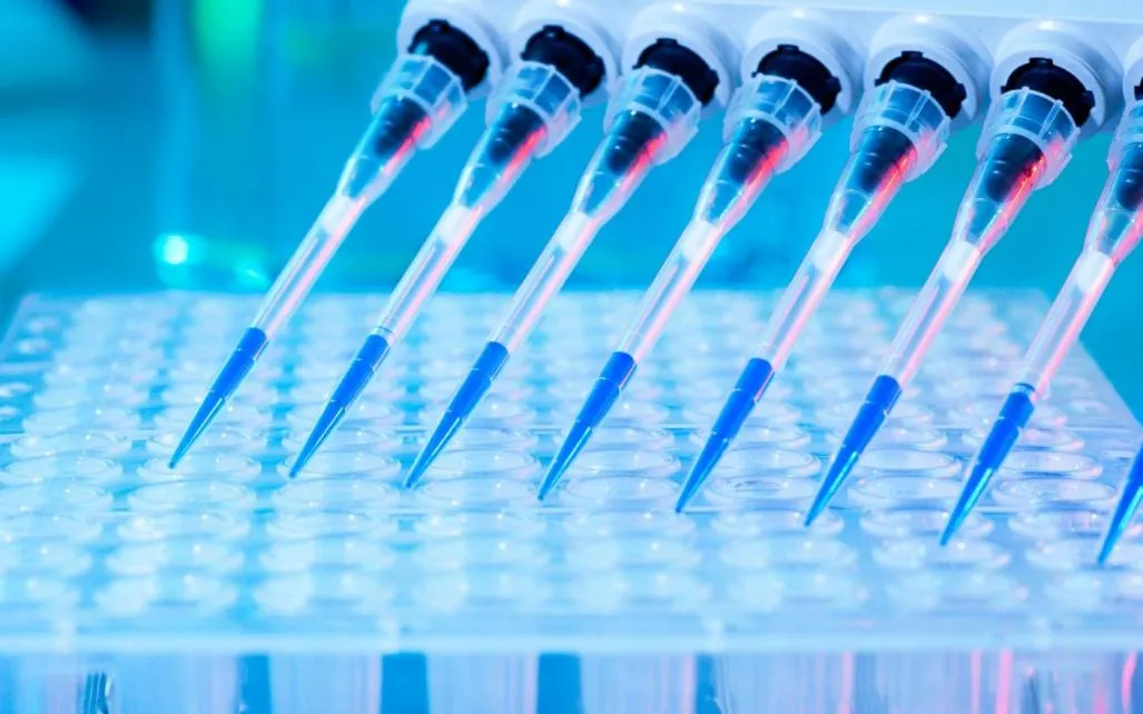 antibody peptide