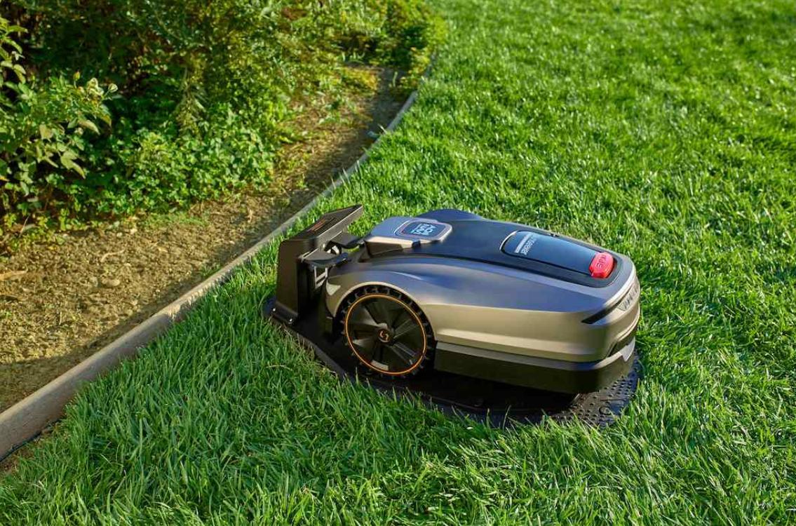 electric lawn